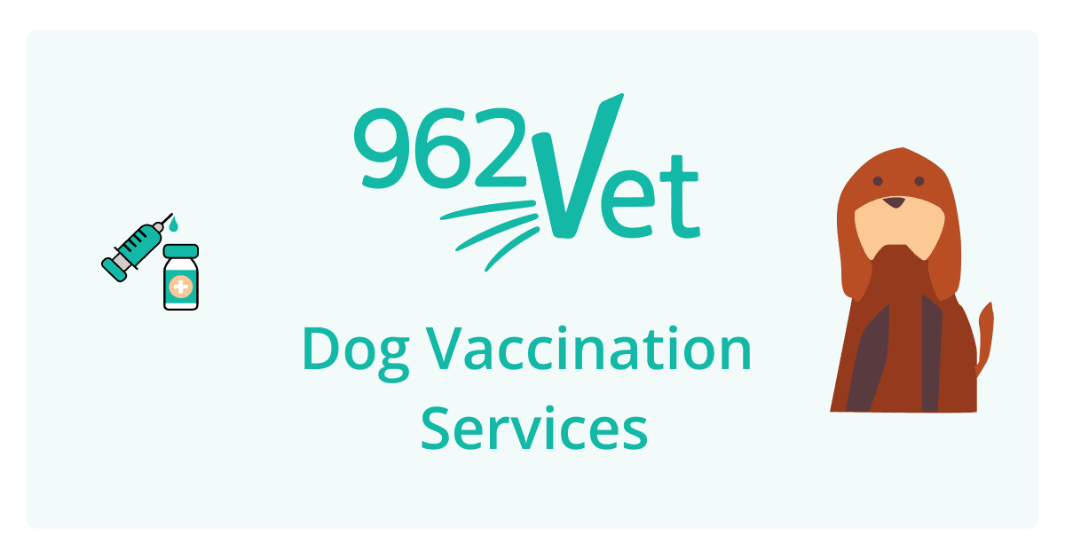 962Vet - Dog and Puppy Vaccination